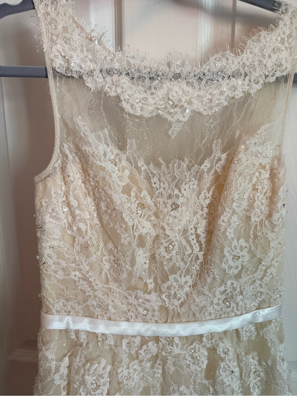 BHLDN Ivory and Champagne Lace A-Line Wedding Gown - Picture 4 of 10
